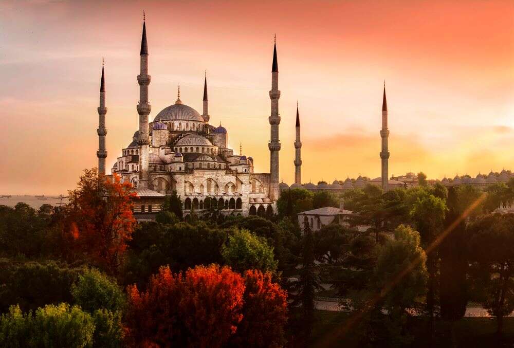 Turkey to introduce ‘COVID-free’ certificates for tourist hotspots Turkey to introduce ‘COVID-free’ certificates for tourist hotspots