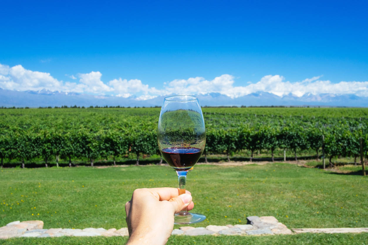 From California to Edinburgh, virtual wine tasting is the lockdown trend