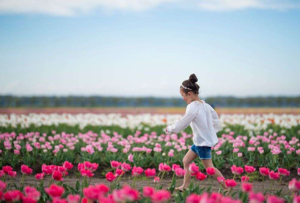 Japan chops down 1 lakh tulips to discourage mass gathering amid COVID-19 crises Japan chops down 1 lakh tulips to discourage mass gathering amid COVID-19 crises