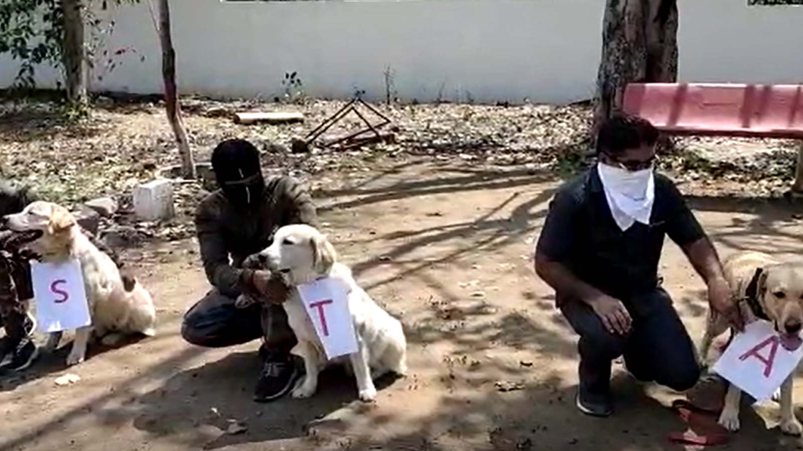 'Stay at home' message passed on by canine squad of Bomb Detection and ...