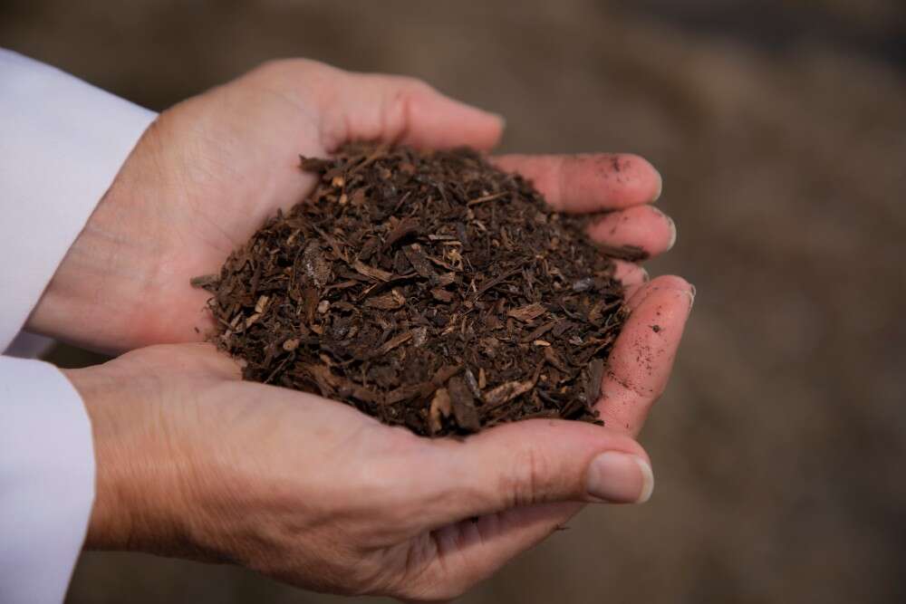 Seattle will soon have the world's first human composting facility Seattle will soon have the world's first human composting facility