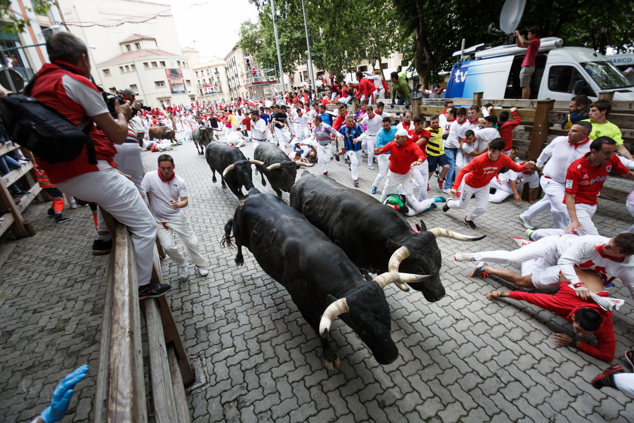 No bull running event in Spain this year