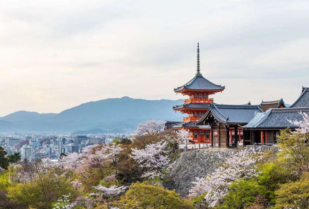 Japan adds more countries to entry ban list amid COVID-19 pandemic Japan adds more countries to entry ban list amid COVID-19 pandemic