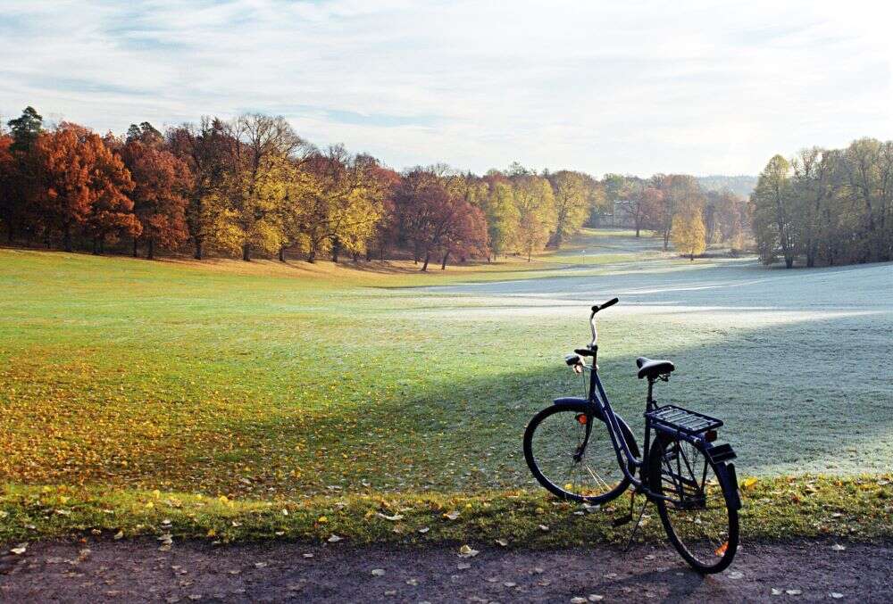 Swedish city dumps ‘chicken poop’ in park to discourage people from gathering Swedish city dumps ‘chicken poop’ in park to discourage people from gathering