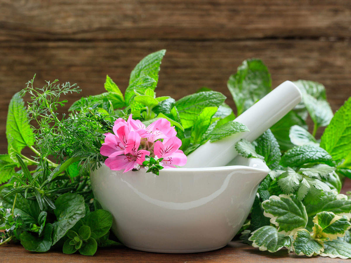 Immunity boosting herbs 5 herbs that you can consume during