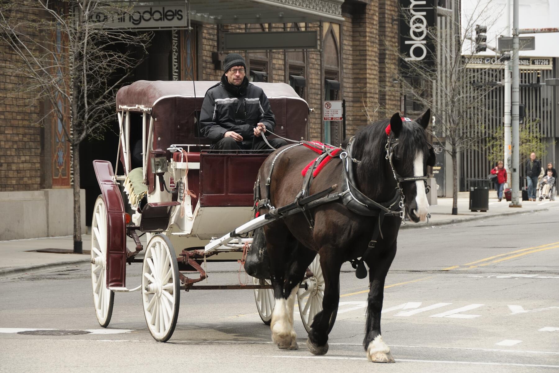 Chicago to ban horse-drawn carriages from 2021 Chicago to ban horse-drawn carriages from 2021