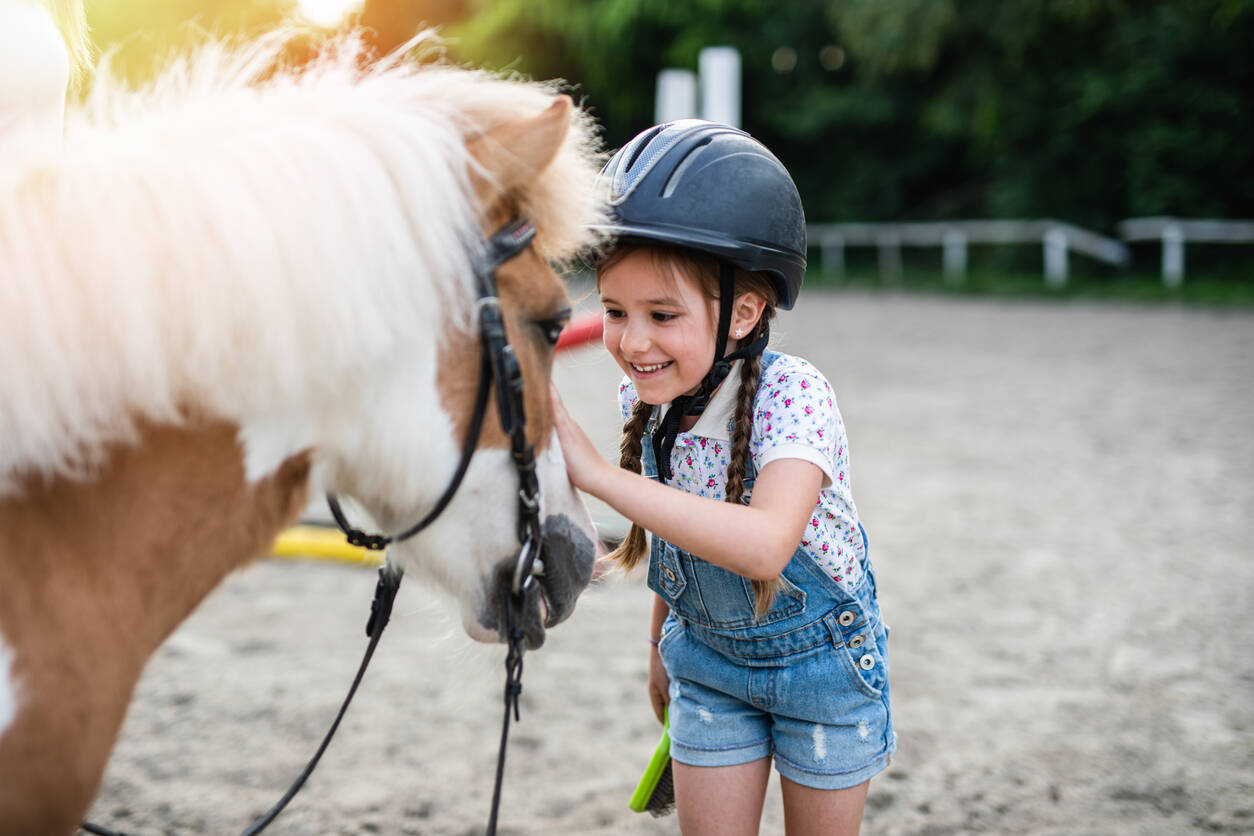 Chicago to ban horse-drawn carriages from 2021 Chicago to ban horse-drawn carriages from 2021