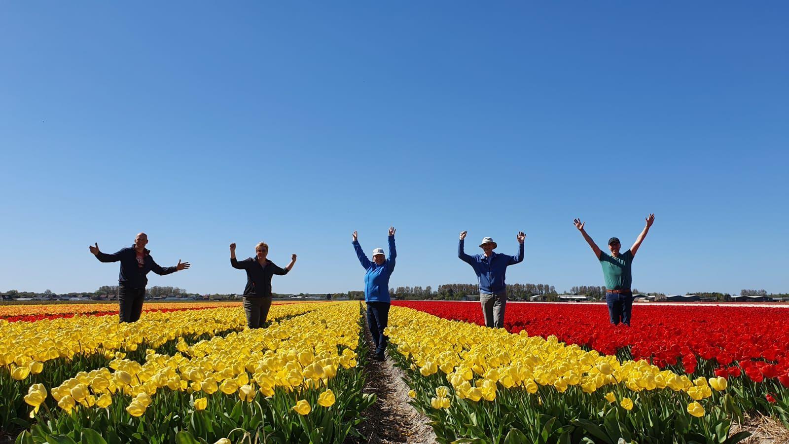 Dutch tulip farmers spread positive message with their flowers