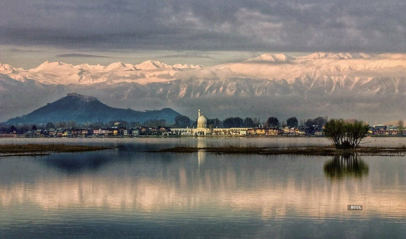 In the midst of lockdown, breath-taking pictures of our mother nature prove that we humans are the real culprits!