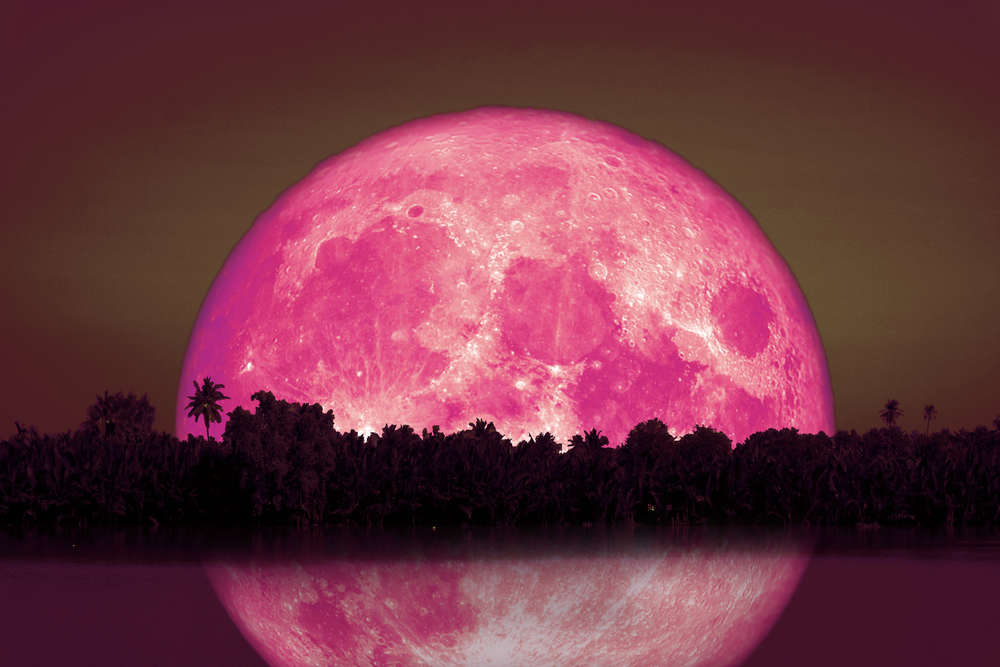 Do not miss Super Flower Moon or Vaishakha Full Moon on May 7 Do not miss Super Flower Moon or Vaishakha Full Moon on May 7