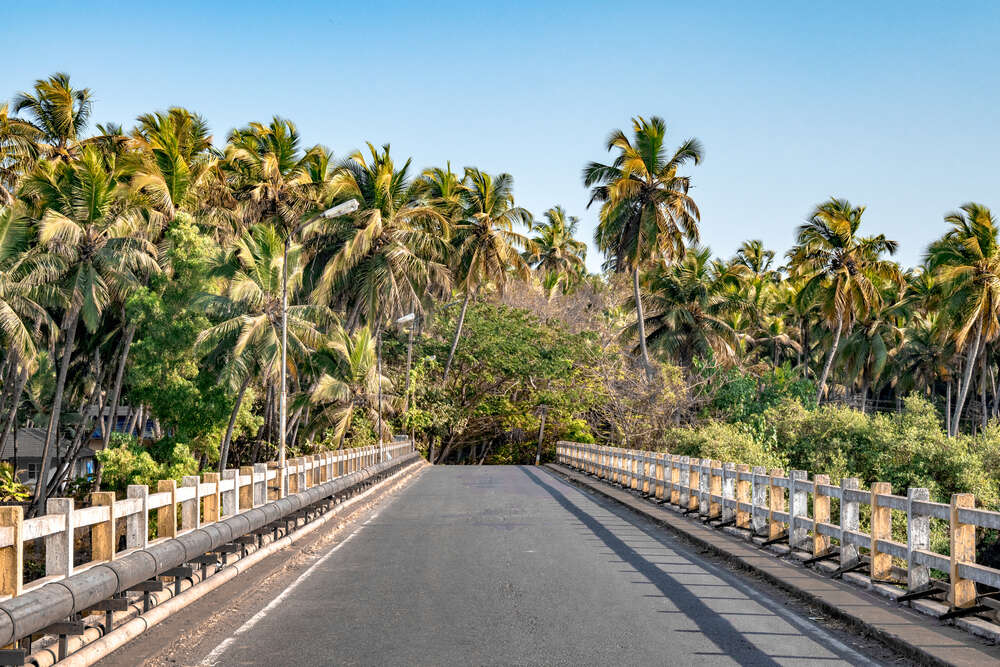 Kerala Tourism introduces platform for Non-Resident Keralites to book vehicles for returning home Kerala Tourism introduces platform for Non-Resident Keralites to book vehicles for returning home