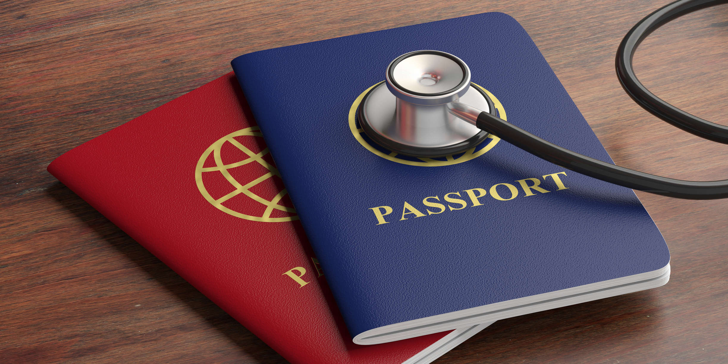 european travel health passport