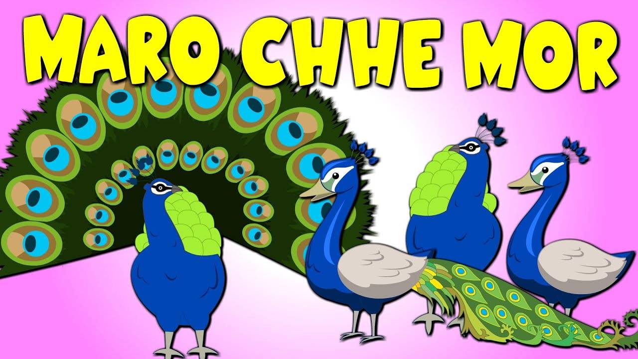 Watch Popular Children Gujarati Nursery Rhyme 'Maro Che Mor' for Kids -  Check out Fun Kids Nursery Rhymes And Baby Songs In Gujarati. |  Entertainment - Times of India Videos