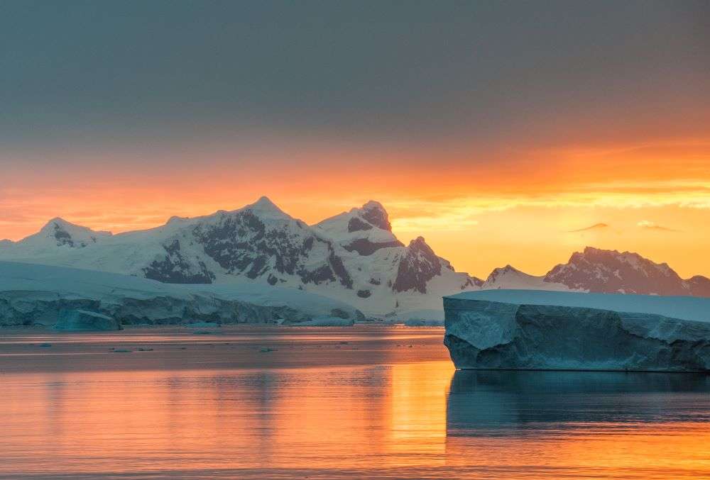 Antarctica is turning green. Know why
