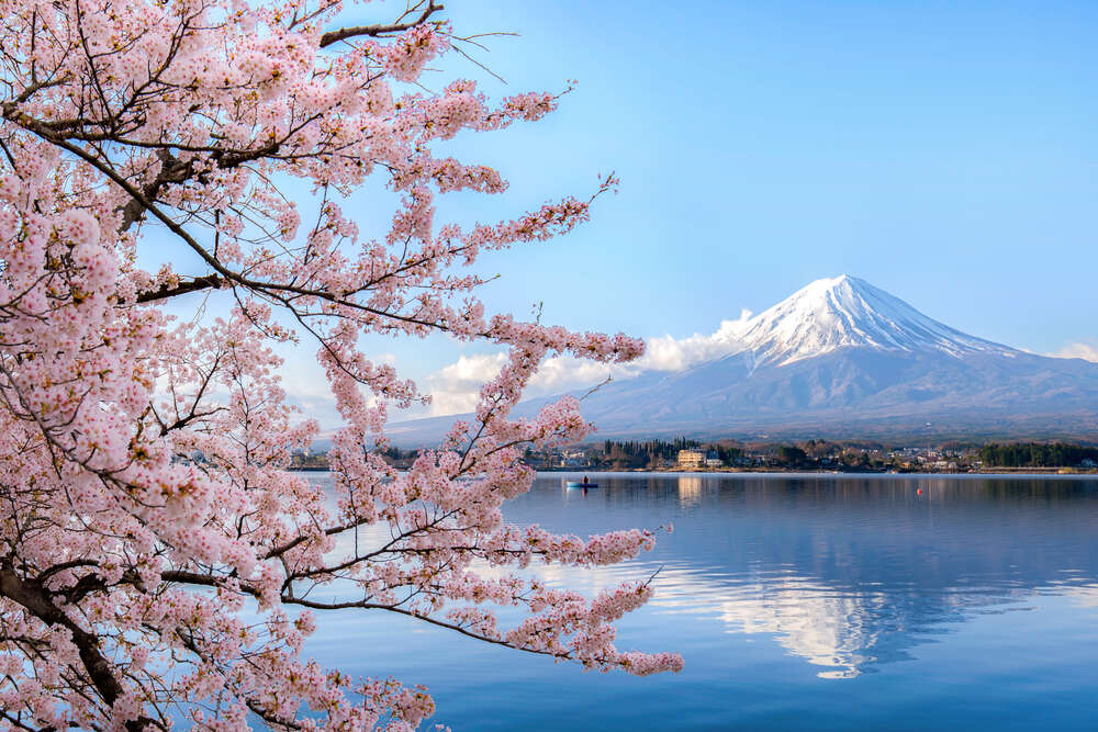 Japan dismisses rumours about paying half of costs for international tourists Japan dismisses rumours about paying half of costs for international tourists