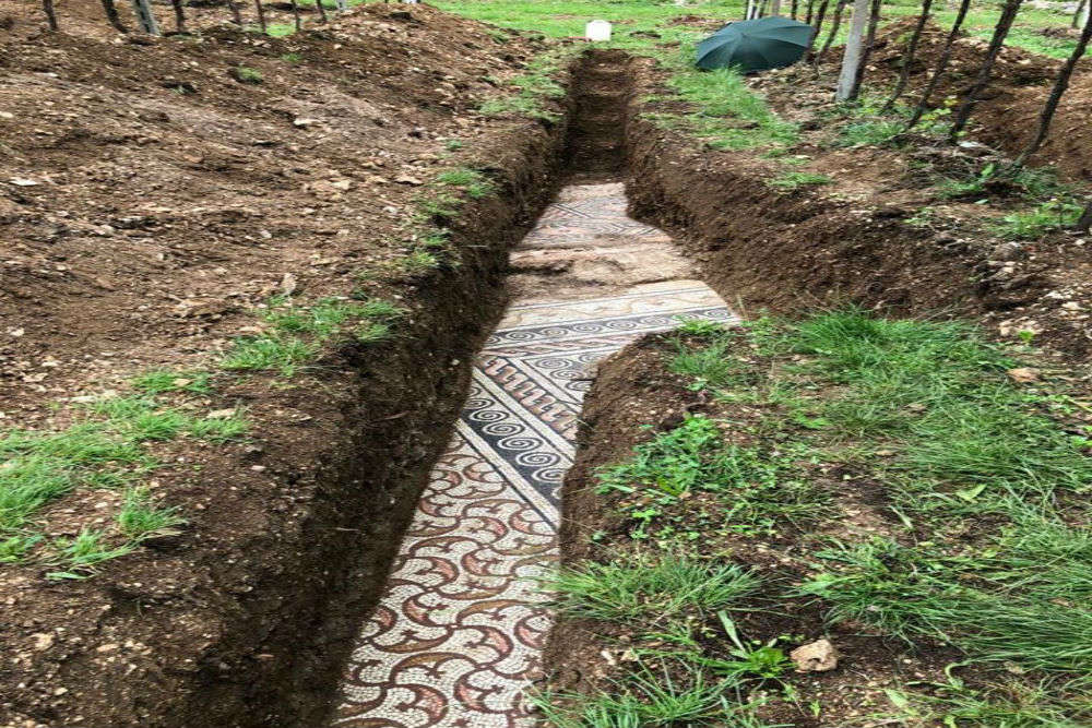 A perfectly preserved ancient Roman mosaic unearthed at a vineyard in Italy