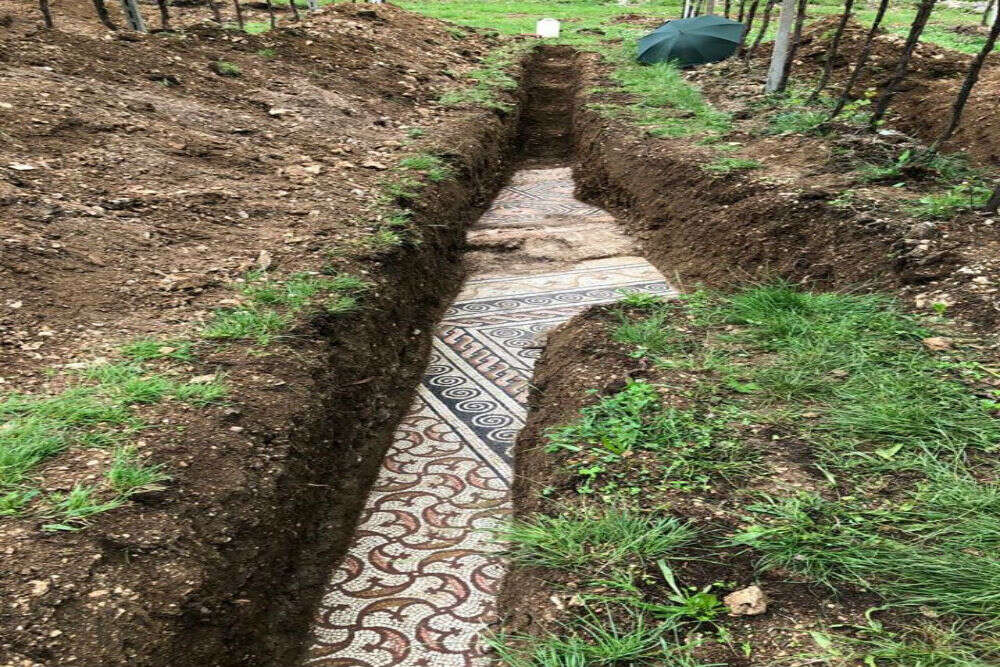 A perfectly preserved ancient Roman mosaic unearthed at a vineyard in Italy A perfectly preserved ancient Roman mosaic unearthed at a vineyard in Italy