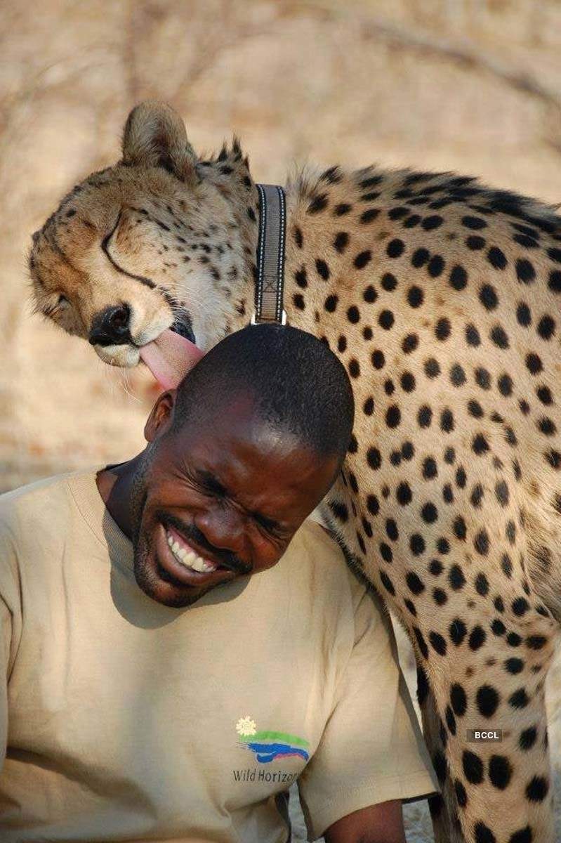 These stunning pictures of humans with animals will restore your faith in humanity 