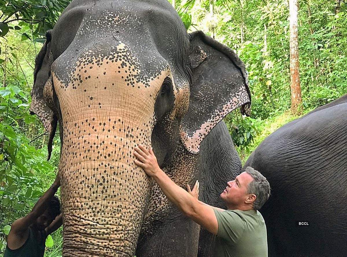 These stunning pictures of humans with animals will restore your faith in humanity 