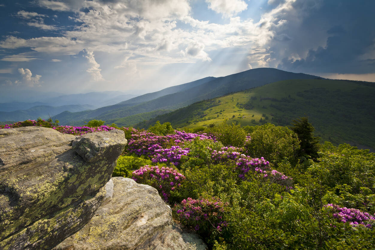 Become a beer drinking hiker and get paid for it on the Appalachian trail Become a beer drinking hiker and get paid for it on the Appalachian trail