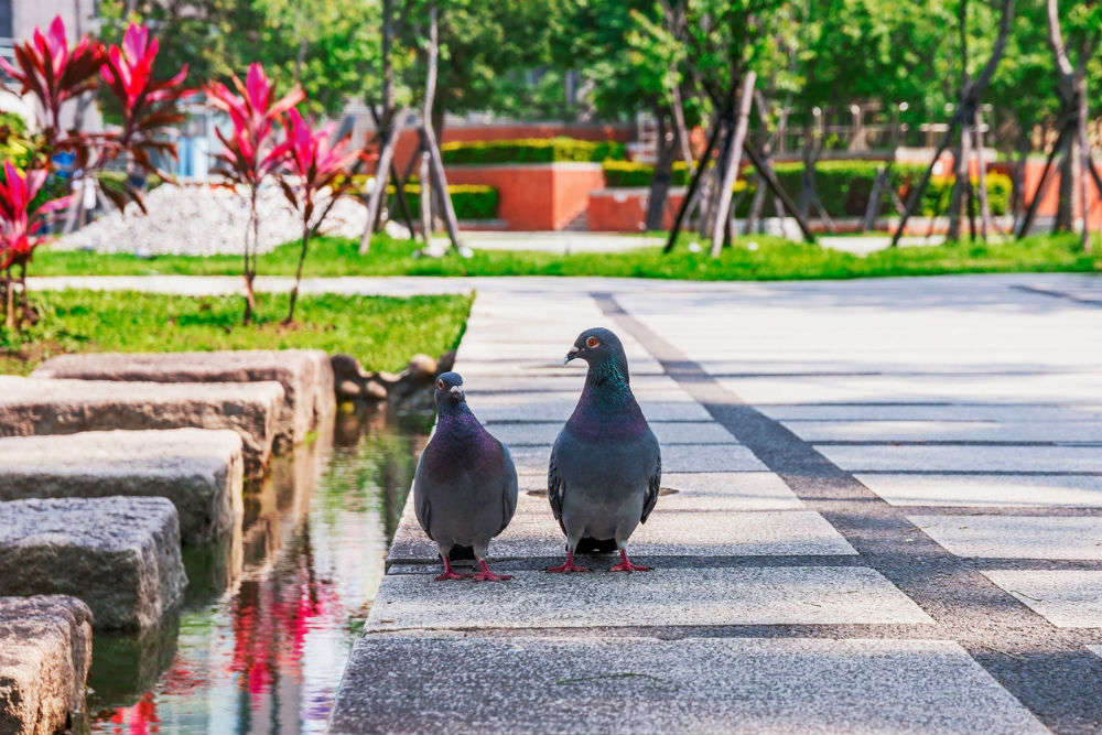 Exploring the world’s first Urban Quiet Park in Taiwan’s Taipei, Taiwan ...