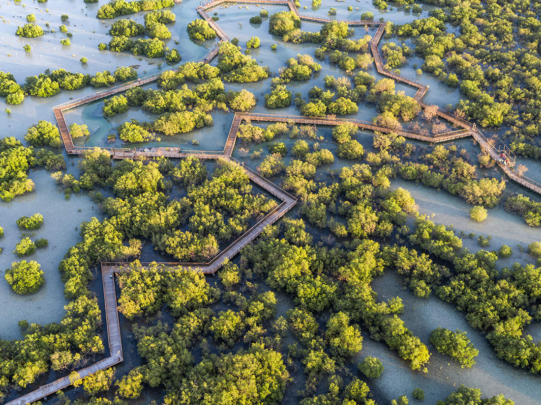 Jubail Mangrove Park