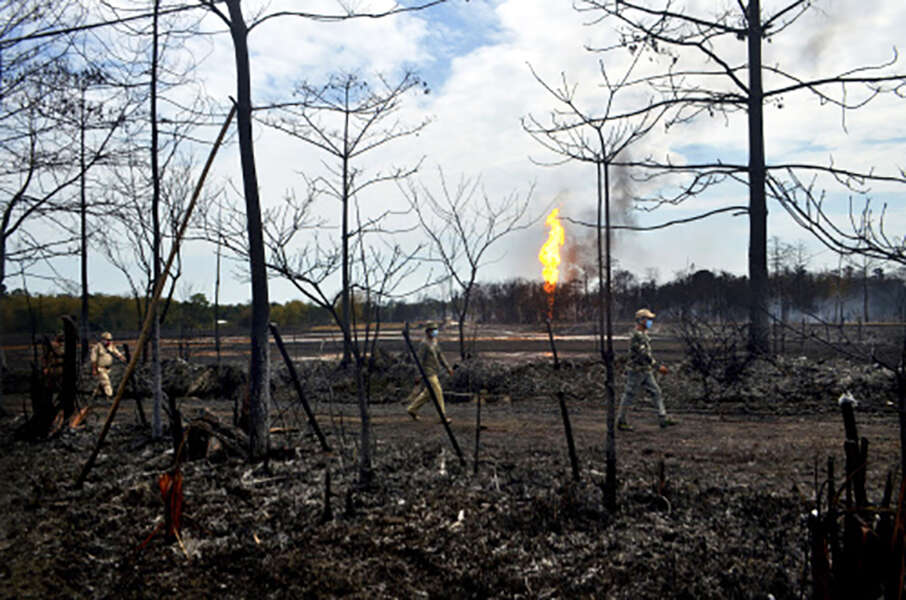 Shocking pictures from damaged ecological zones after oil well explodes in Assam