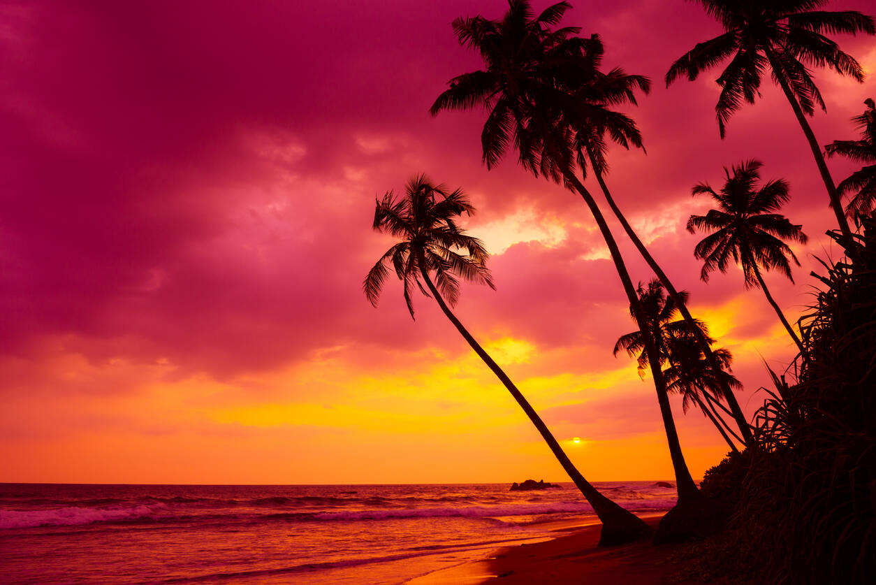 French Polynesia to open for international tourism from July 15 French Polynesia to open for international tourism from July 15