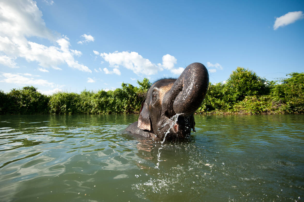 Thailand national parks may remain closed for two months each year Thailand national parks may remain closed for two months each year