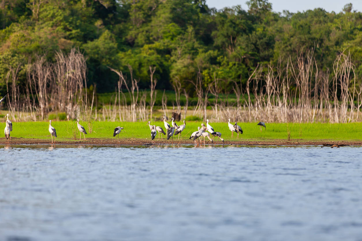 Thailand national parks may remain closed for two months each year Thailand national parks may remain closed for two months each year