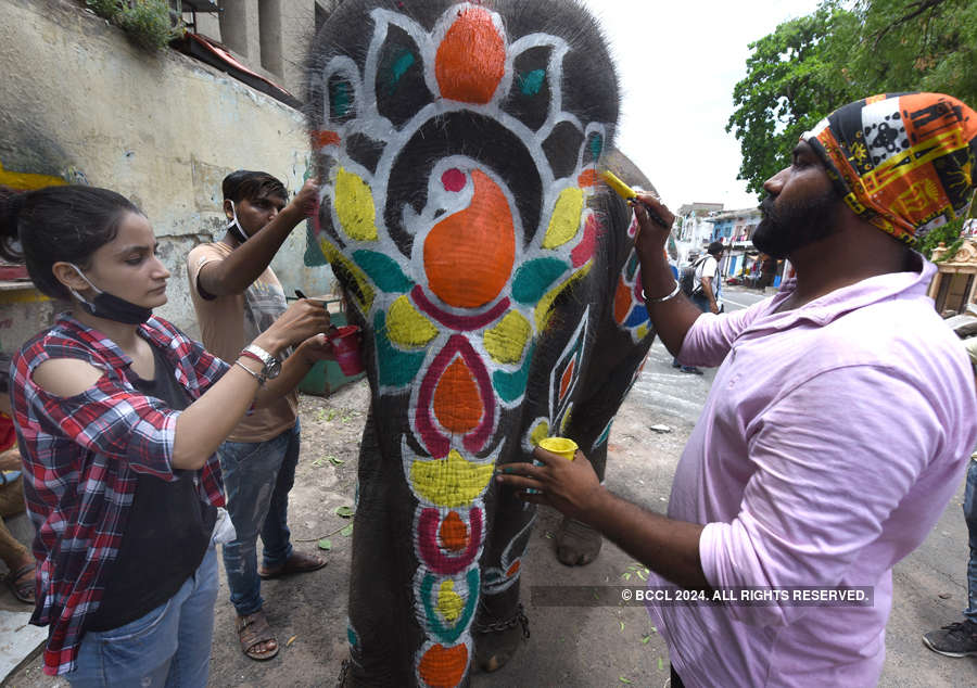 Lord Jagannath Rath Yatra taken out without sea of devotees