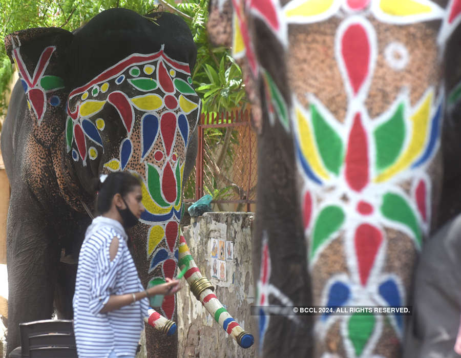 Lord Jagannath Rath Yatra taken out without sea of devotees