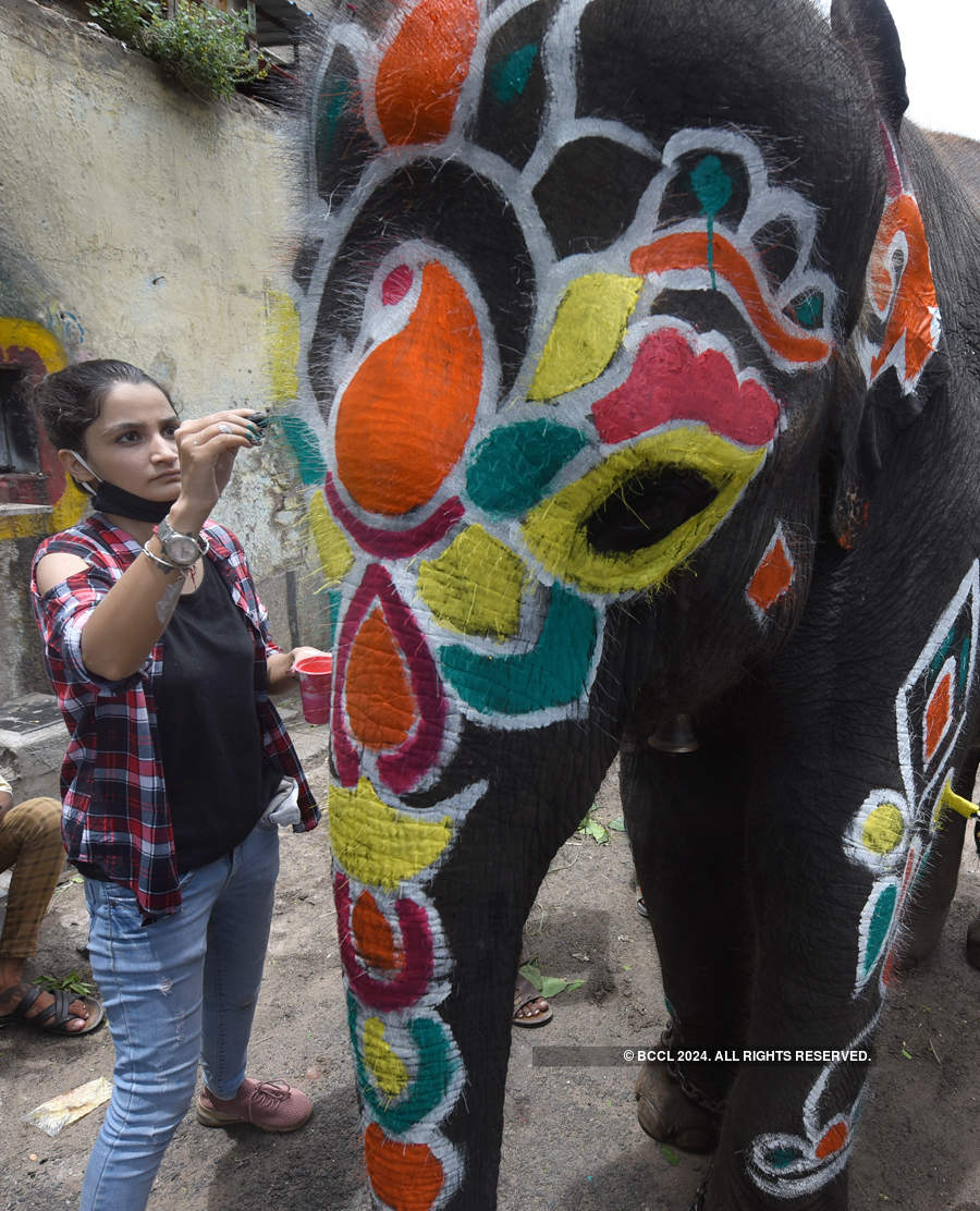 Lord Jagannath Rath Yatra taken out without sea of devotees