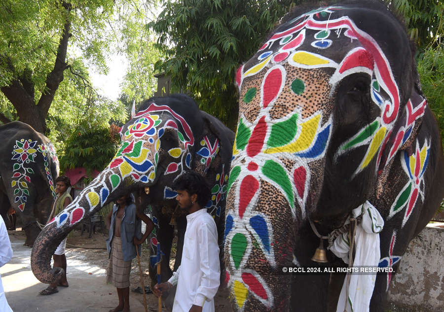 Lord Jagannath Rath Yatra taken out without sea of devotees