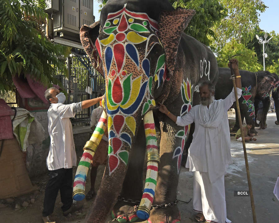 Lord Jagannath Rath Yatra taken out without sea of devotees