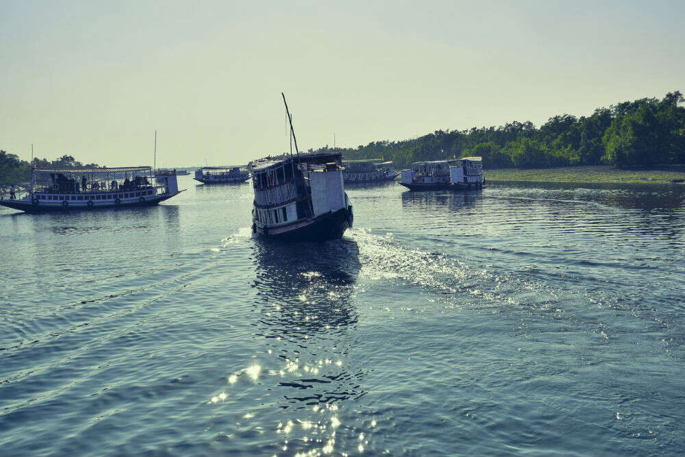 Sundarban Tiger Reserve opens for tourists with all the safety measures Sundarban Tiger Reserve opens for tourists with all the safety measures