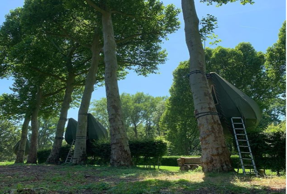 How about holidaying in trees? COVID-19 gives rise to this interesting staycation