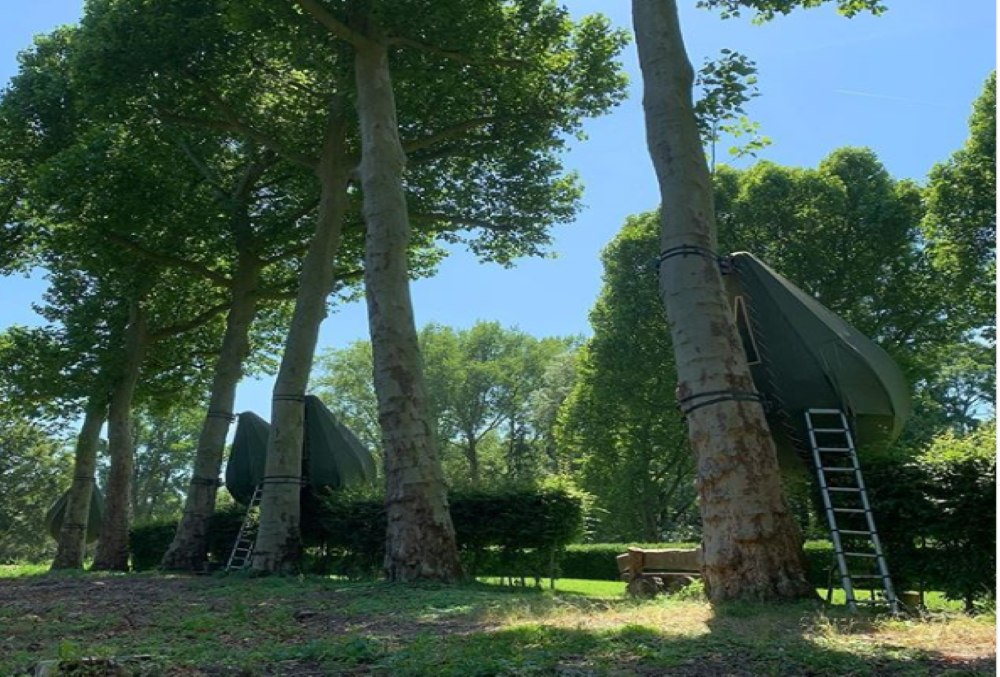 How about holidaying in trees? COVID-19 gives rise to this interesting staycation How about holidaying in trees? COVID-19 gives rise to this interesting staycation
