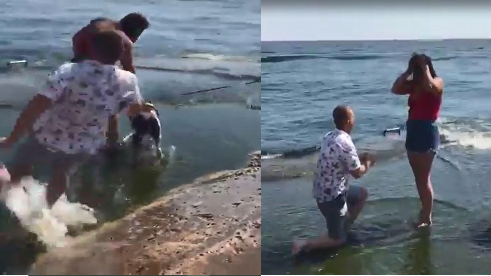 Man slips on a rock with a thud before proposing girl