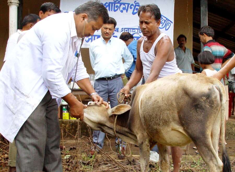 Assam: These pictures show how floods affected the wildlife over the years