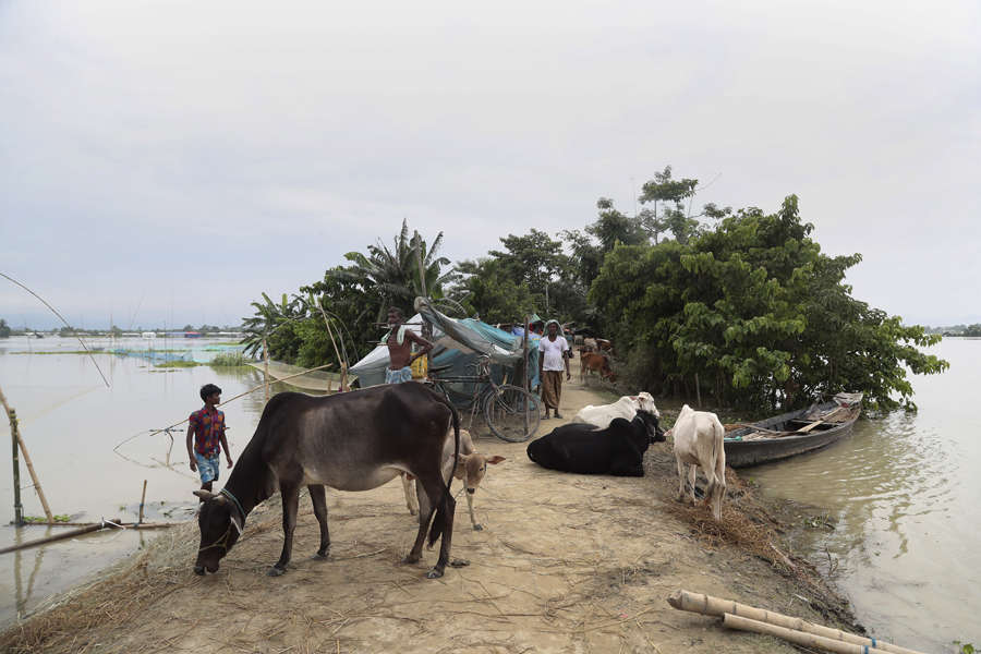 Deadly floods leave a trail of destruction in Assam