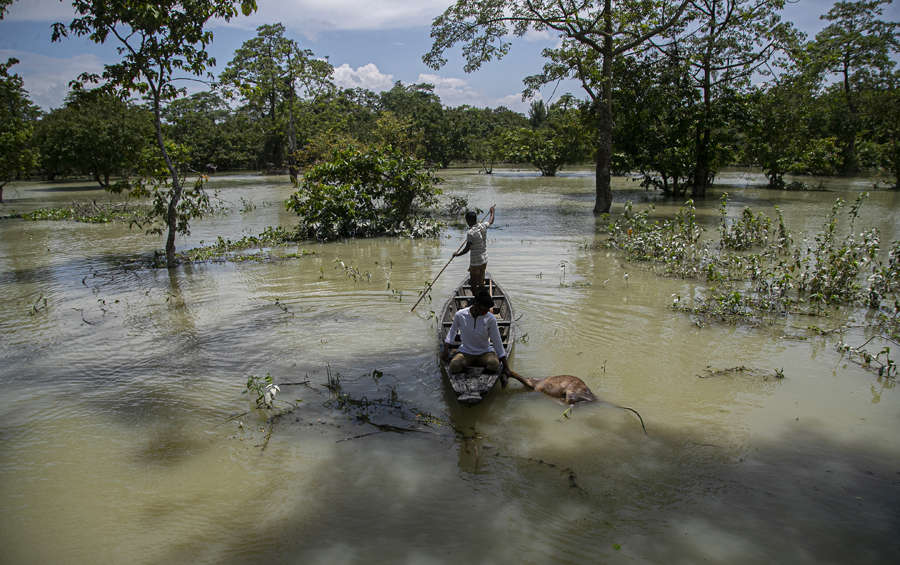 Flood: These pictures show the devastation in Assam