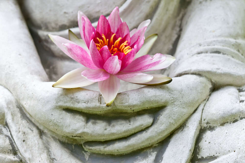 Ministry of Tourism taking initiatives to boost Buddhist tourism in India Ministry of Tourism taking initiatives to boost Buddhist tourism in India