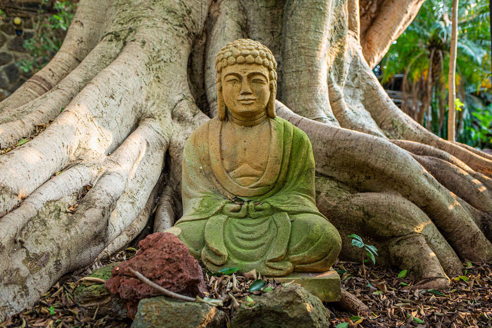 Ministry of Tourism taking initiatives to boost Buddhist tourism in India Ministry of Tourism taking initiatives to boost Buddhist tourism in India
