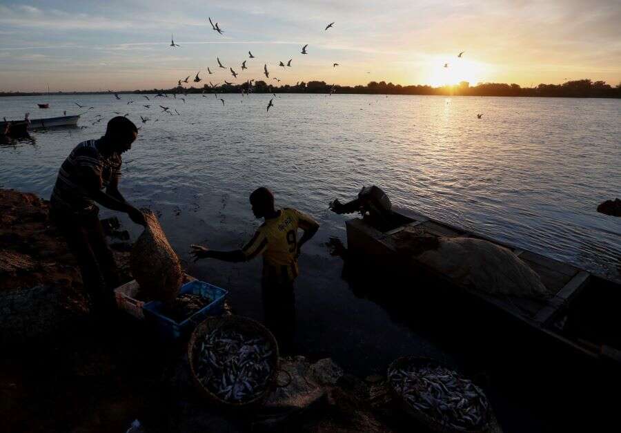 The Grand Ethiopian Renaissance Dam: Boon or a Bane?