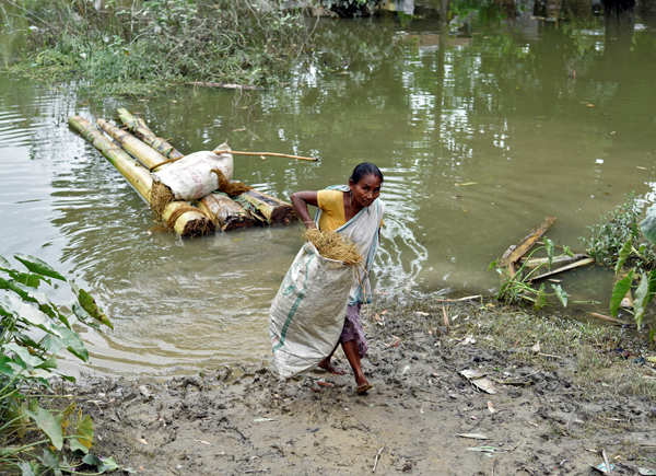 Flood: These pictures show the devastation in Assam