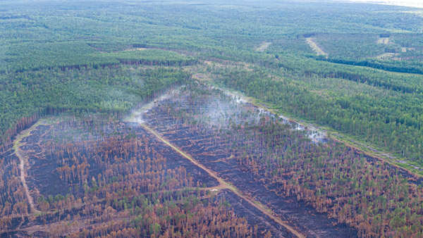 Massive wildfires in Siberia engulf area larger than Greece