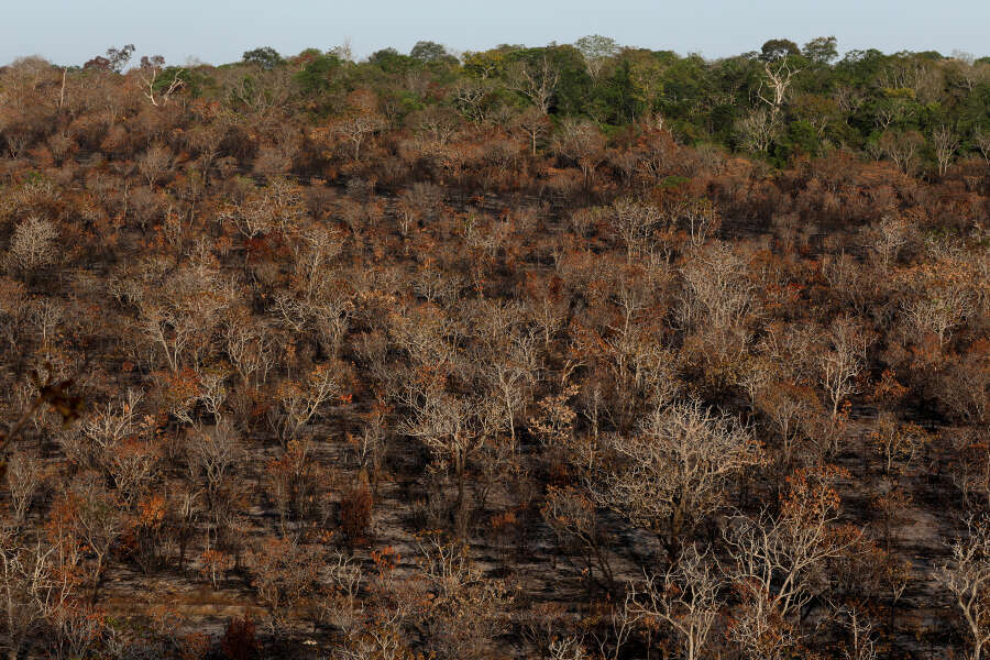 Wildfires in Siberia burn an area larger than Greece