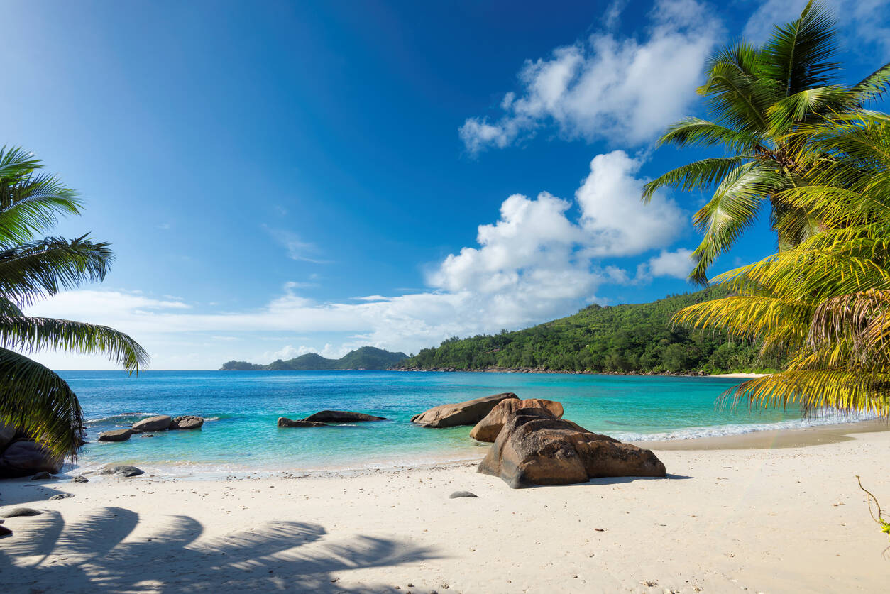 Seychelles to reopen from August 1 for tourists, know more Seychelles to reopen from August 1 for tourists, know more