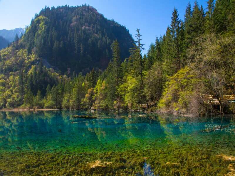 Five Flower Lake, North of Sichuan, China
